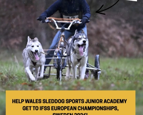 03 Junior Academy Posters