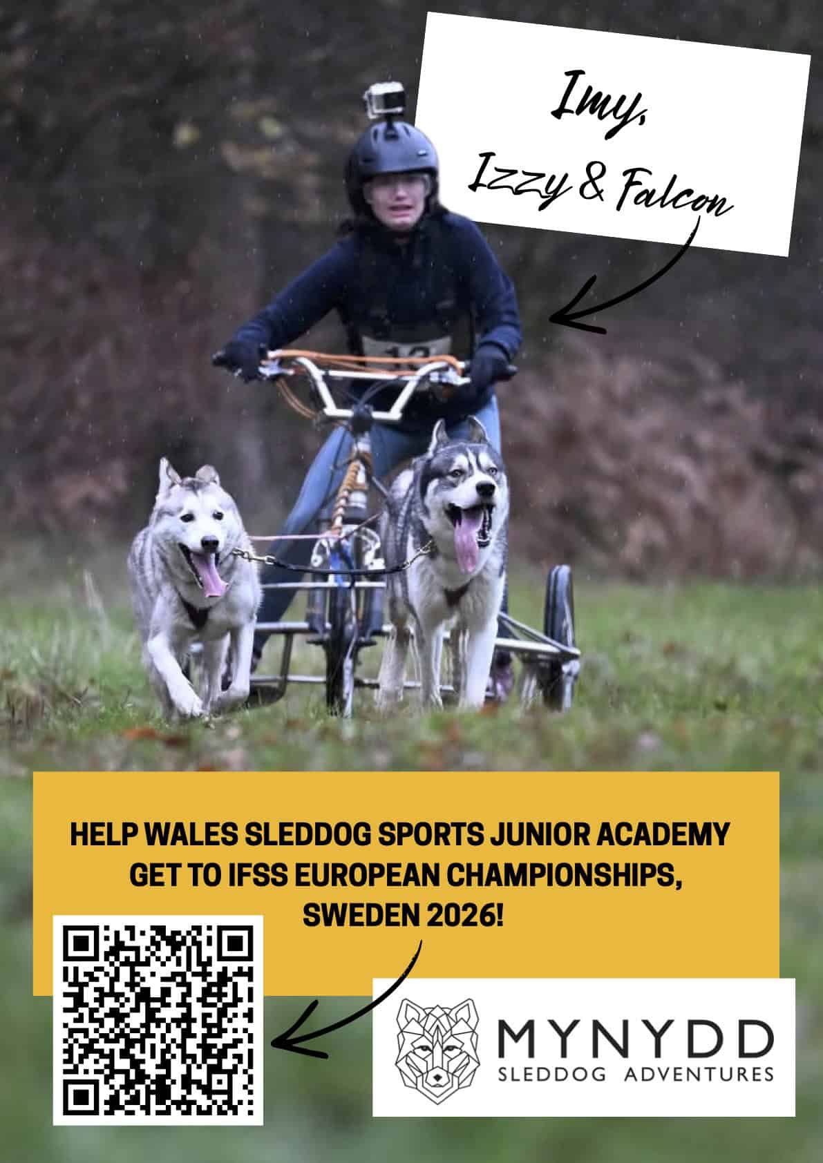 03 Junior Academy Posters