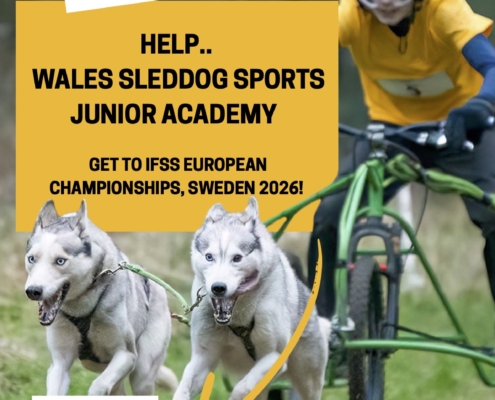 04 Junior Academy Posters