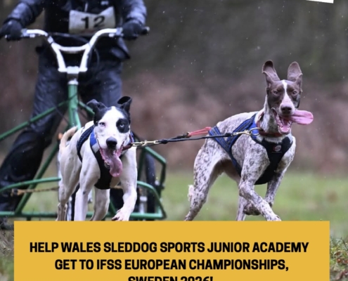 05 Junior Academy Posters