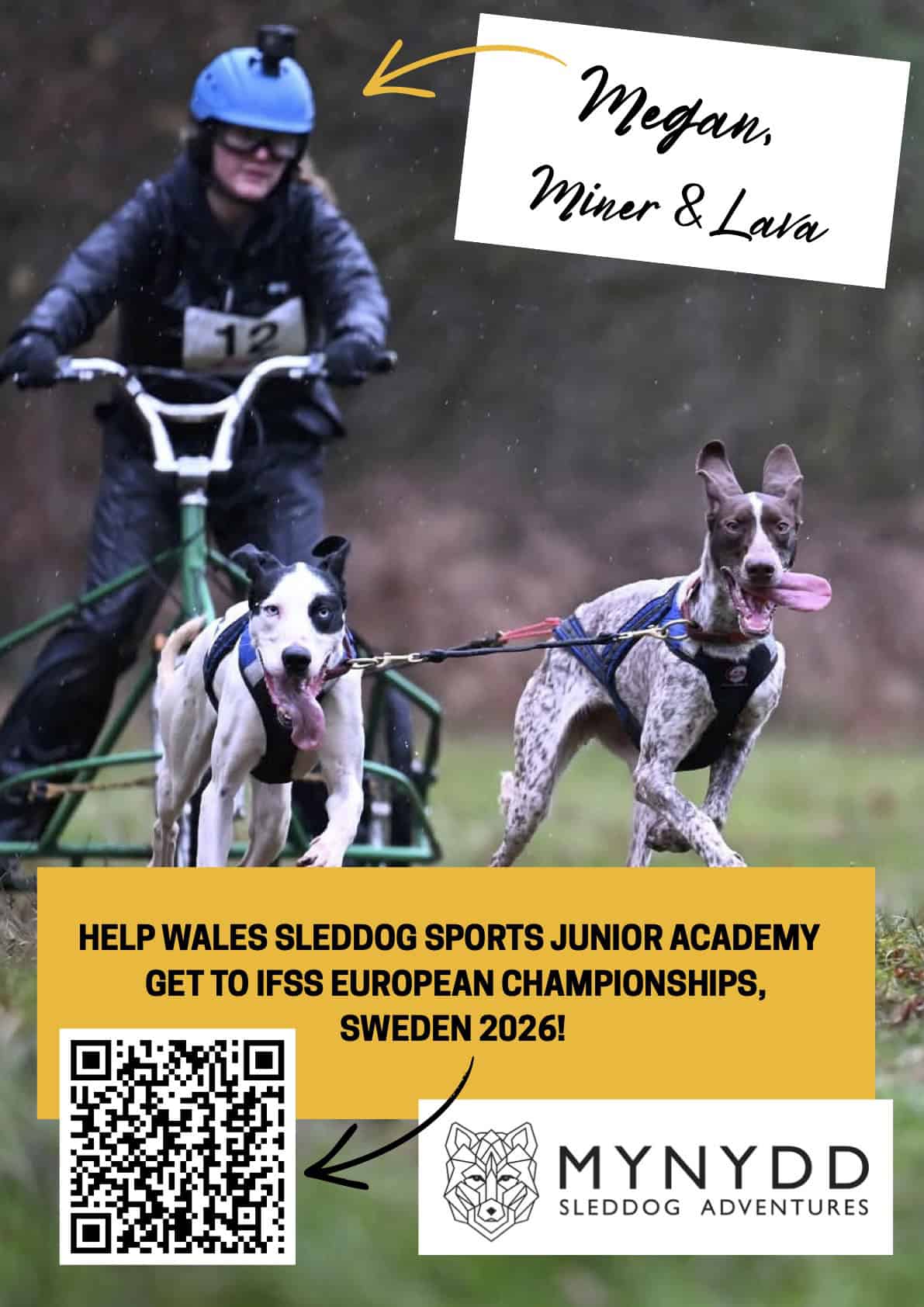 05 Junior Academy Posters