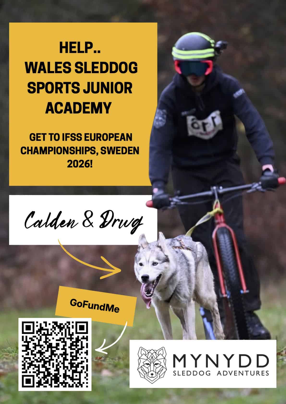 06 Junior Academy Posters