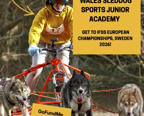 07 Junior Academy Posters