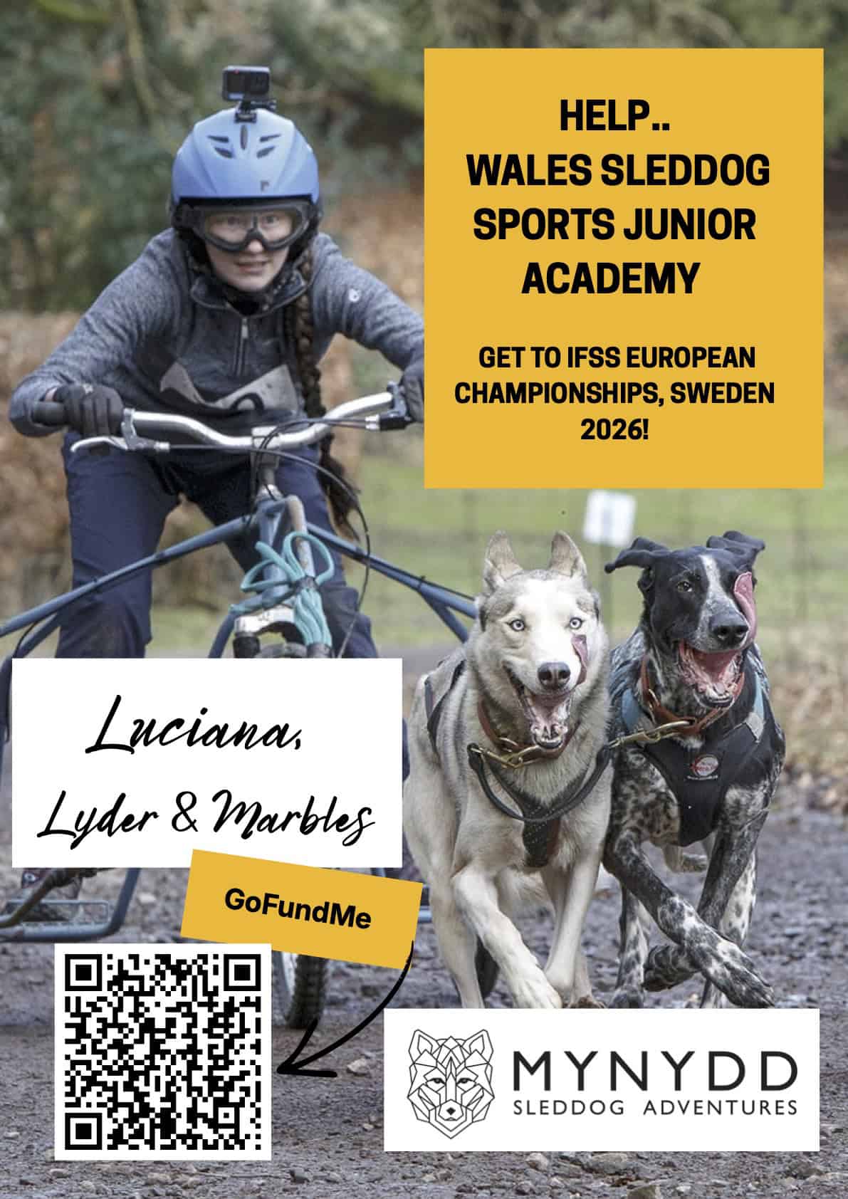 08 Junior Academy Posters