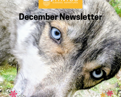 December Newsletter