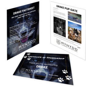 Eco-Sponsor-Gift-705x666-1 Eco Sponsor Gift