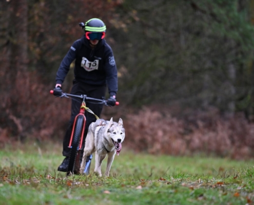 Junior Academy at Mynydd Sleddog Adventures