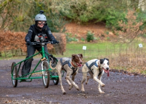 Junior Academy at Mynydd Sleddog Adventures