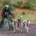 Junior Academy at Mynydd Sleddog Adventures