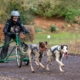 Junior Academy at Mynydd Sleddog Adventures