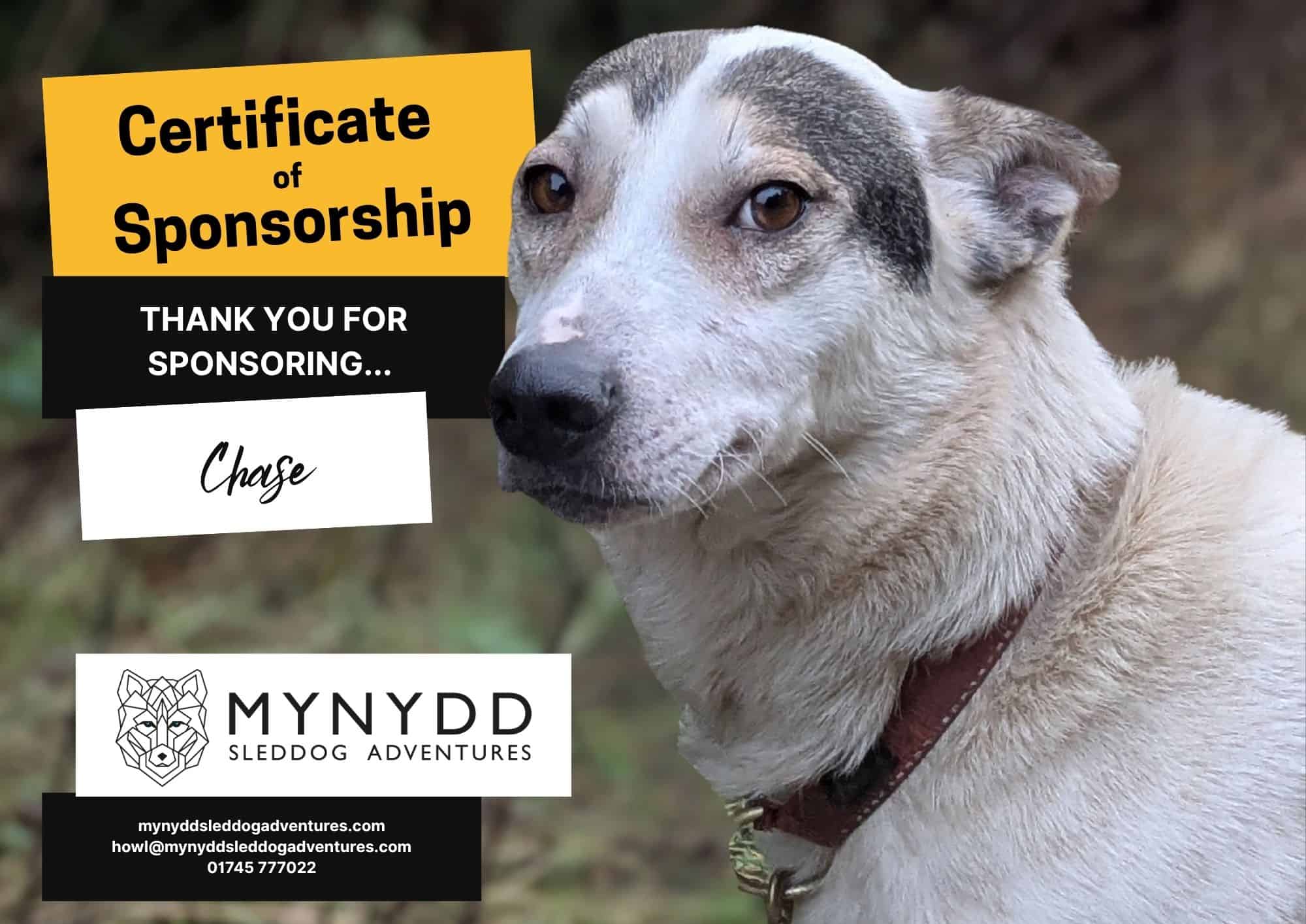 Sponsor a Dog Certificates Template