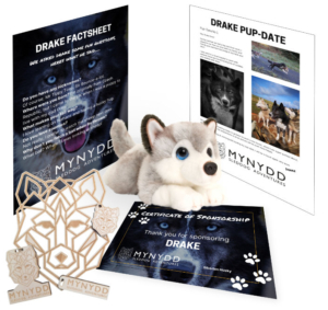 Super-Snowdog-Sponsor-Gift-705x666-1 Super Snowdog Sponsor Gift