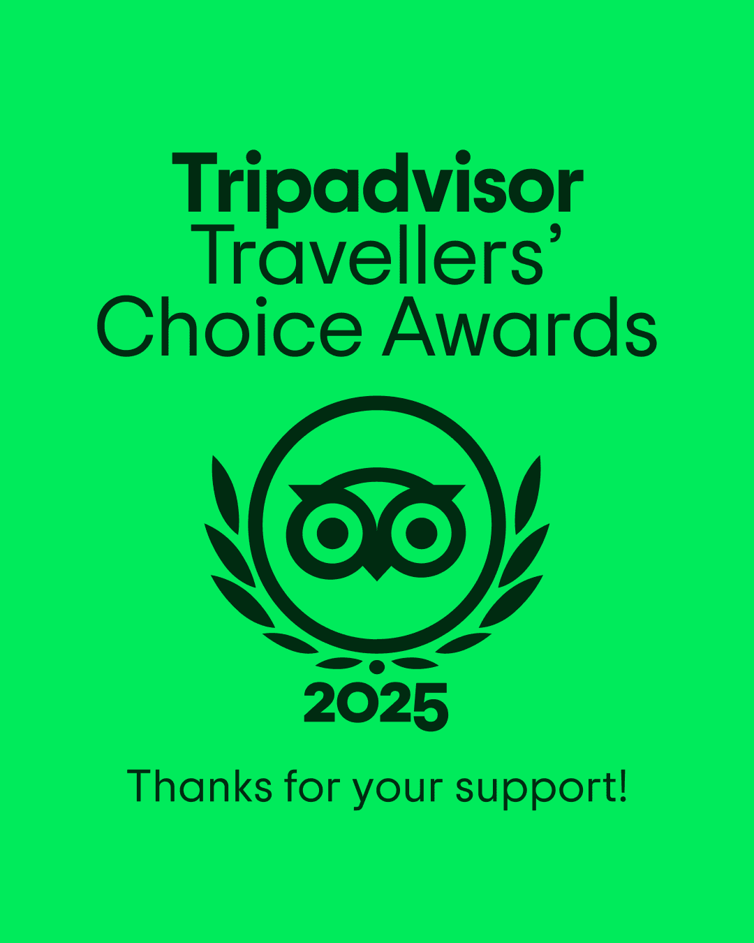 Tripadvisor Travellers' Choice 2025 Awards Logo