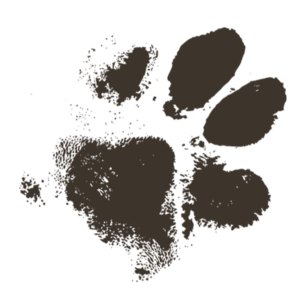 Mynydd Sleddog Adventures Mynydd Sleddog Adventures