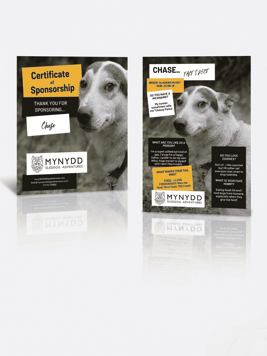 Eco Friendly Sponsor Gift